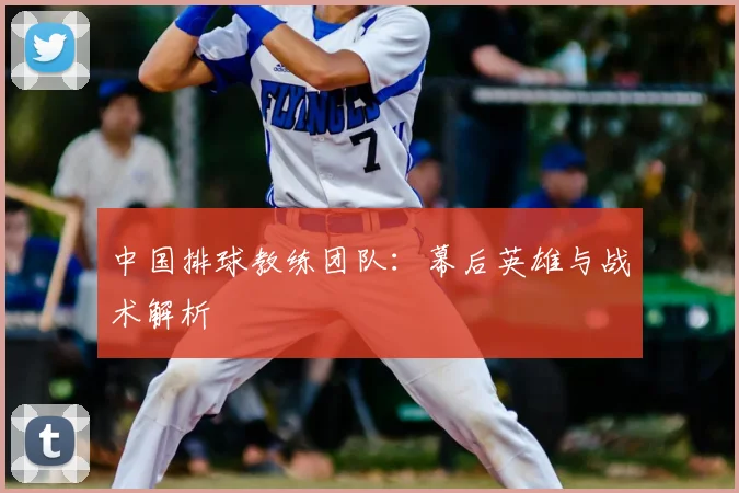 中国排球教练团队：幕后英雄与战术解析